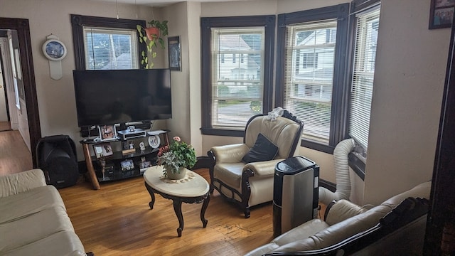 living room featuring hardwood / wood-style floors and plenty of natural light