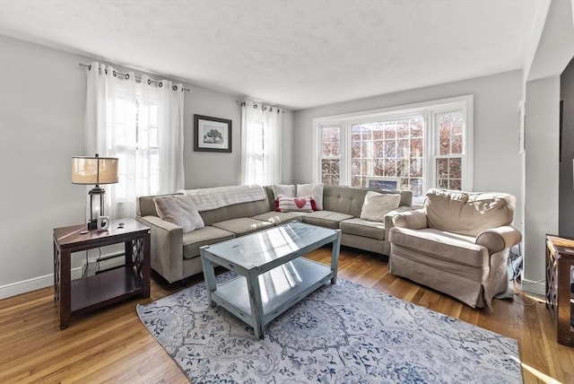 living room with wood-type flooring and plenty of natural light