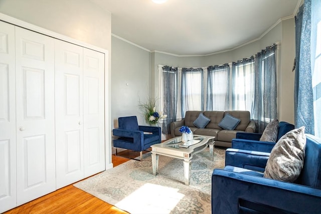 350 Wentworth Ave, Lowell, MA 01852 - living area with wood finished floors and crown molding