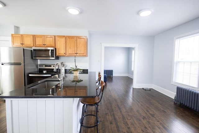 14 Fales St, Worcester, MA 01606 - kitchen with dark wood finished floors, radiator heating unit, and appliances with stainless steel finishes