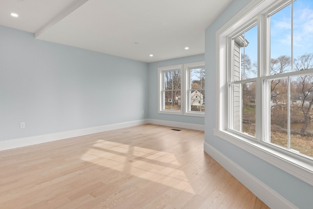 spare room featuring a healthy amount of sunlight and light wood-type flooring