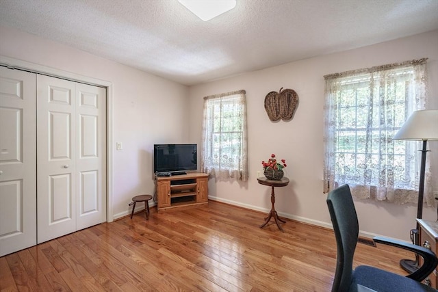9 Lauren Ln, Southwick, MA 01077 - office featuring light wood finished floors, a textured ceiling, and baseboards