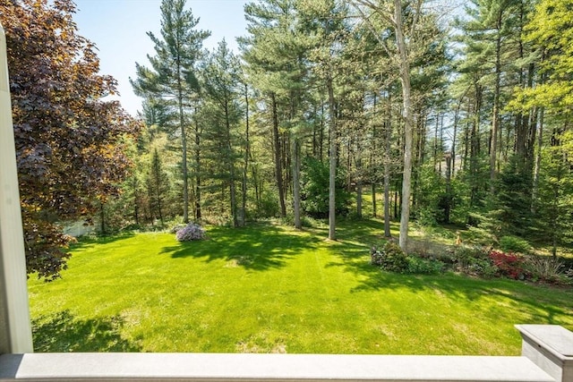 9 Lauren Ln, Southwick, MA 01077 - view of grassy yard