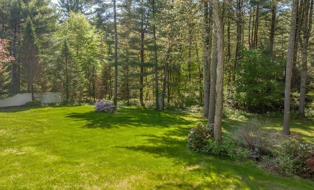 9 Lauren Ln, Southwick, MA 01077 - view of yard featuring a forest view