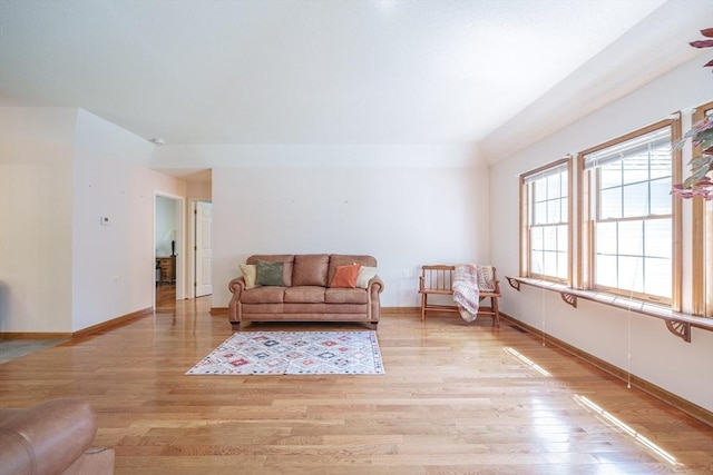 9 Lauren Ln, Southwick, MA 01077 - living area with light wood-style flooring, baseboards, and vaulted ceiling