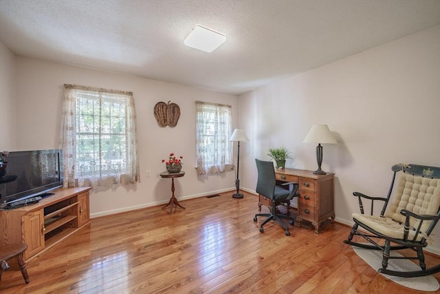 9 Lauren Ln, Southwick, MA 01077 - office featuring light wood-type flooring, a textured ceiling, and baseboards
