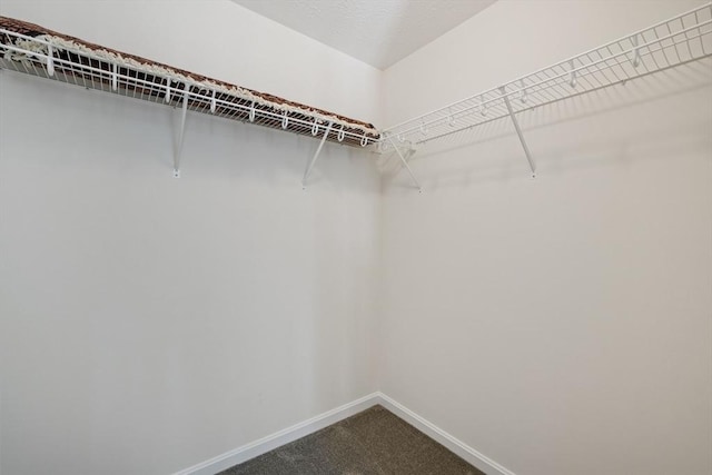 spacious closet with carpet flooring