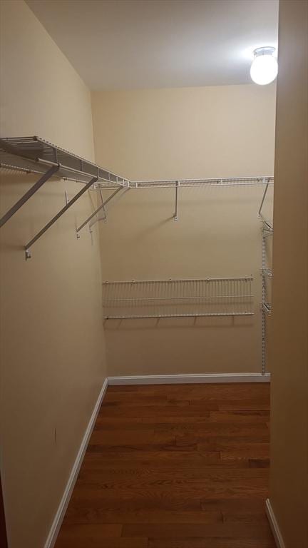 38 Carter St Unit 303, Everett, MA 02149 - spacious closet with wood finished floors