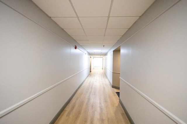 38 Carter St Unit 303, Everett, MA 02149 - hallway featuring light wood-style flooring and a paneled ceiling