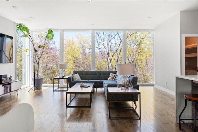 living room featuring baseboards, expansive windows, and hardwood / wood-style floors