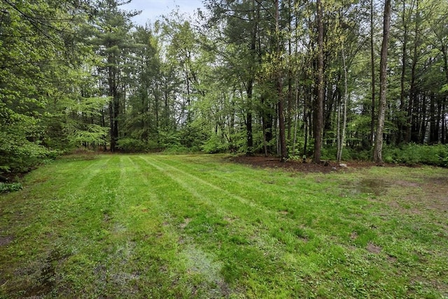 view of grassy yard featuring a wooded view