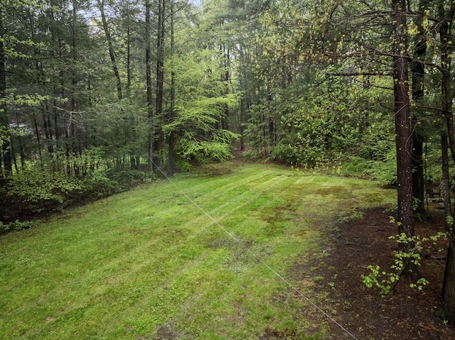 view of grassy yard with a forest view