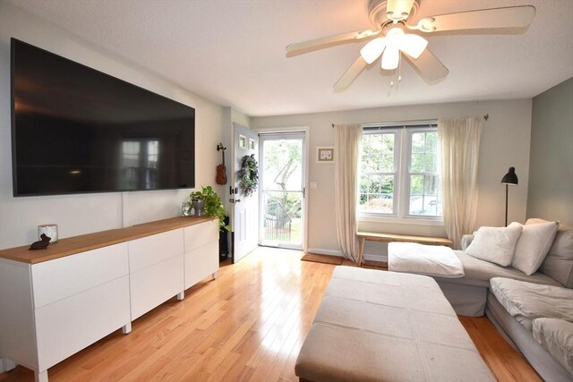 251 Sunderland Rd Unit 251, Worcester, MA 01604 - living room featuring light wood-type flooring and ceiling fan
