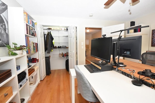 251 Sunderland Rd Unit 251, Worcester, MA 01604 - office with light wood finished floors and a ceiling fan