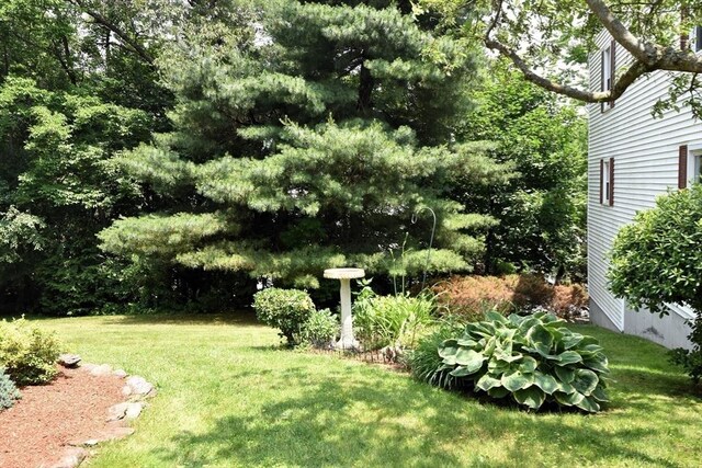 251 Sunderland Rd Unit 251, Worcester, MA 01604 - view of green lawn
