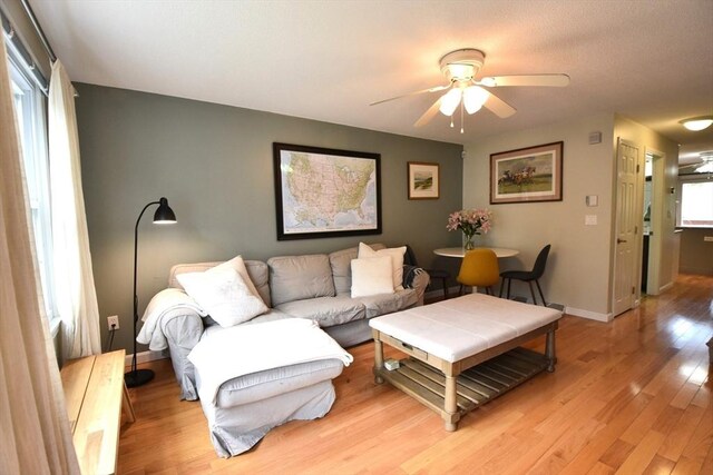 251 Sunderland Rd Unit 251, Worcester, MA 01604 - living room with a ceiling fan and light wood-style flooring