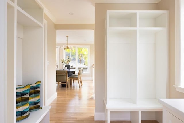 15 Woodcliff Rd, Newton, MA 02461 - mudroom featuring light wood-type flooring, ornamental molding, and a chandelier
