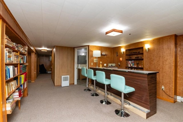 indoor dry bar featuring light colored carpet and wooden walls
