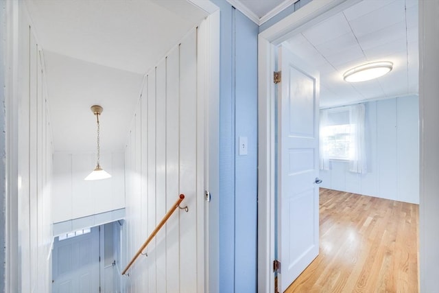 corridor featuring wood walls and light wood-type flooring