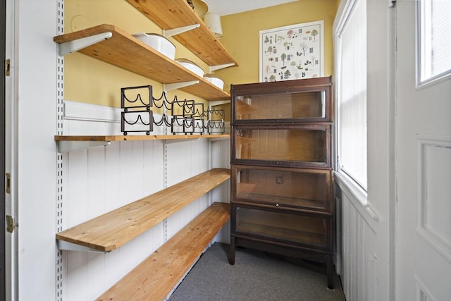 6 Francis Circuit Unit 6, Winchester, MA 01890 - view of storage room
