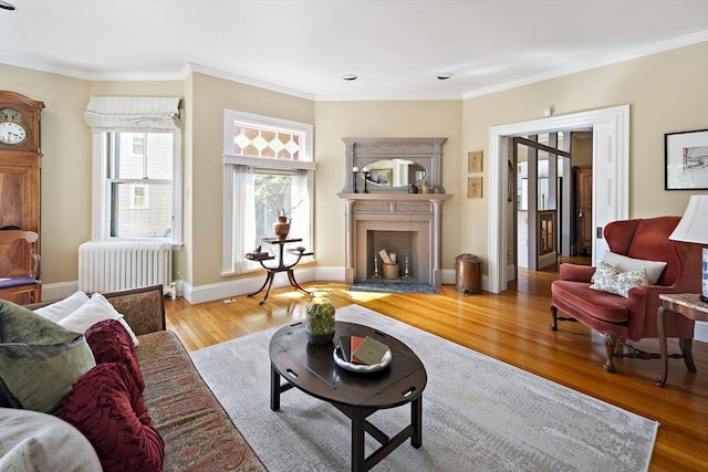 6 Francis Circuit Unit 6, Winchester, MA 01890 - living area featuring radiator heating unit, wood finished floors, ornamental molding, a fireplace with flush hearth, and baseboards