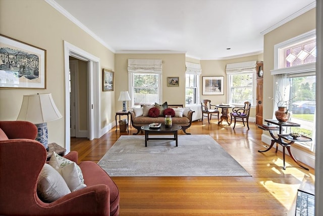6 Francis Circuit Unit 6, Winchester, MA 01890 - living room featuring crown molding, wood finished floors, and baseboards