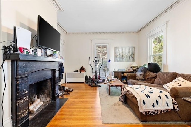 126 W Wyoming Ave, Melrose, MA 02176 - living area featuring radiator, wood finished floors, a fireplace with flush hearth, and crown molding