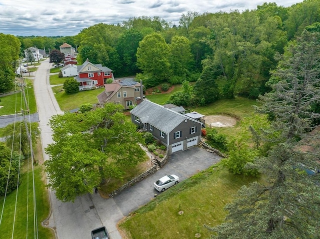 19 Zabelle Ave, Auburn, MA 01501 - aerial view of a forest