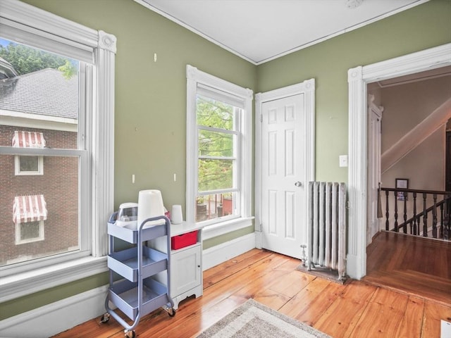 743 Bridge St, Lowell, MA 01850 - office space with radiator, ornamental molding, and light wood-style flooring