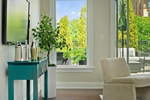 56 Commonwealth Ave Ph, Ph, Boston, MA 02116 - entryway featuring baseboards, wood finished floors, and healthy amount of natural light