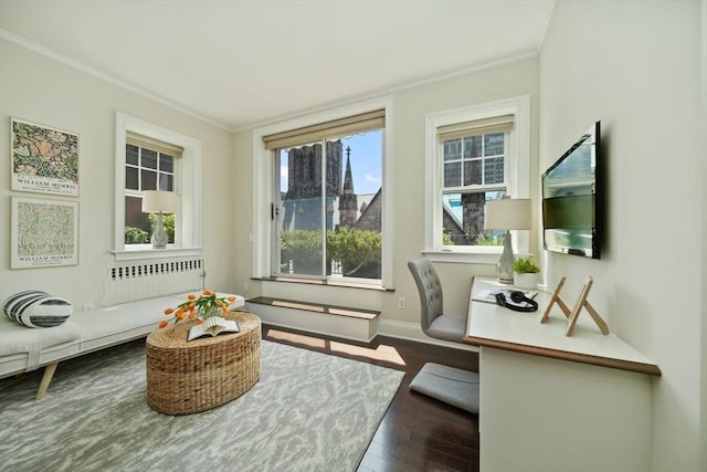 56 Commonwealth Ave Ph, Ph, Boston, MA 02116 - interior space featuring crown molding, wood finished floors, baseboards, and radiator