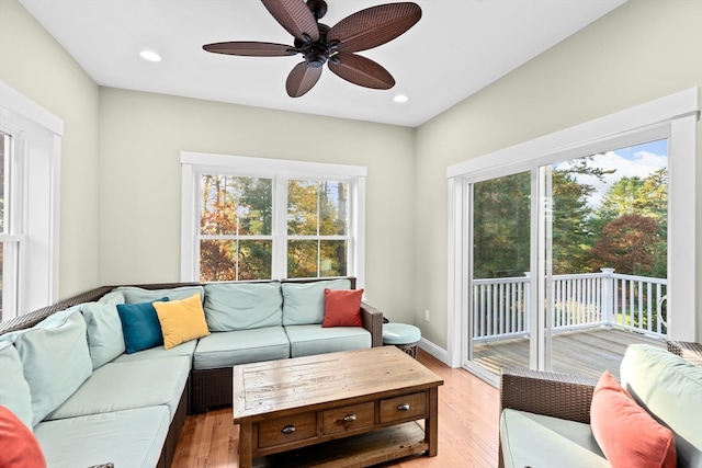 living room featuring ceiling fan, light hardwood / wood-style floors, and plenty of natural light