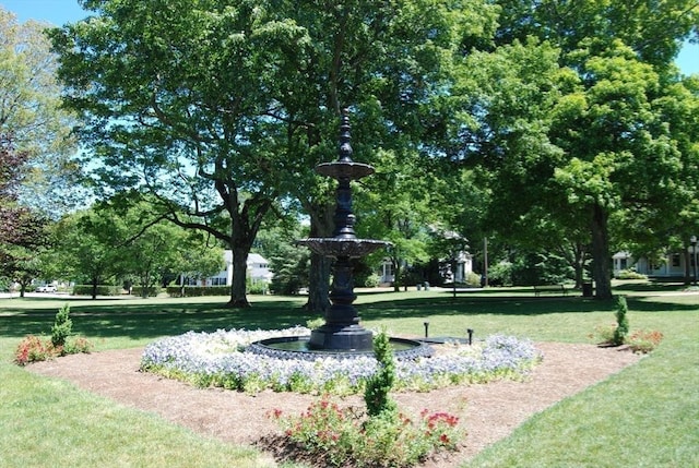 view of community featuring a yard