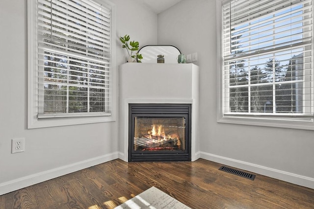 room details featuring wood-type flooring