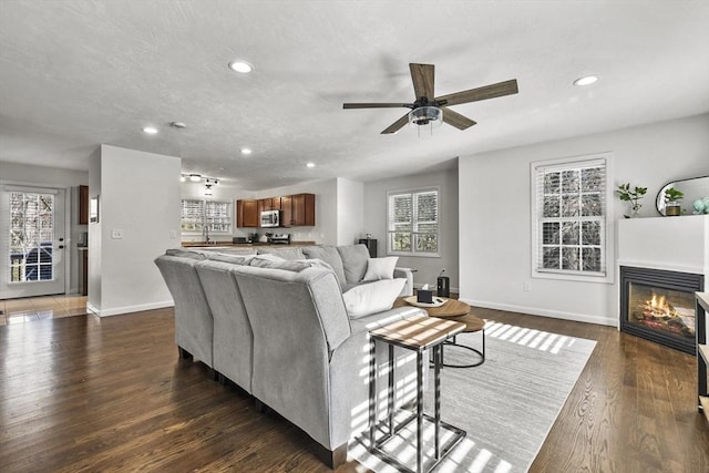 living room with ceiling fan and dark hardwood / wood-style flooring