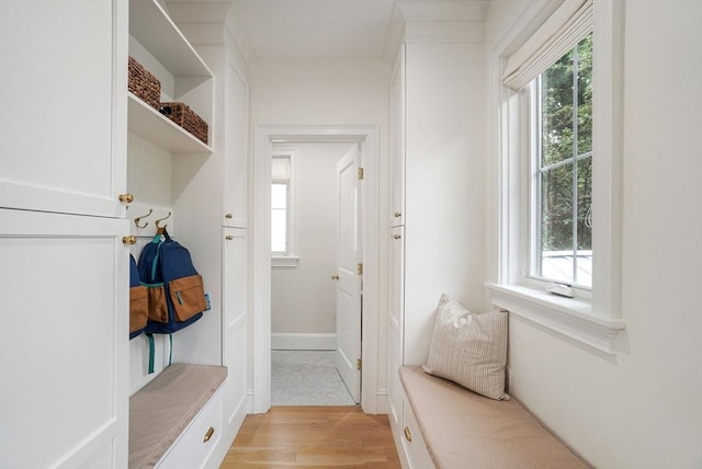 7 Newman St, Cambridge, MA 02140 - mudroom featuring healthy amount of natural light and light wood-type flooring