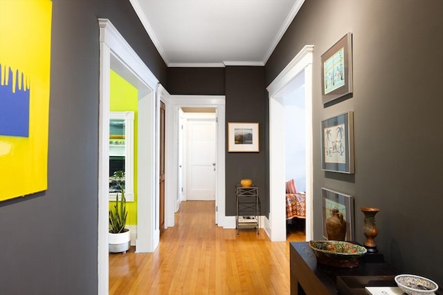 202 Fuller Unit 6, Brookline, MA 02446 - corridor featuring light wood finished floors, crown molding, and baseboards