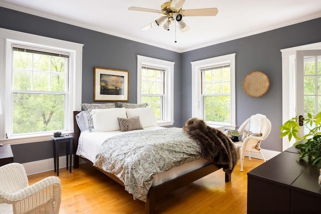 202 Fuller Unit 6, Brookline, MA 02446 - bedroom featuring baseboards, light wood finished floors, crown molding, and a ceiling fan
