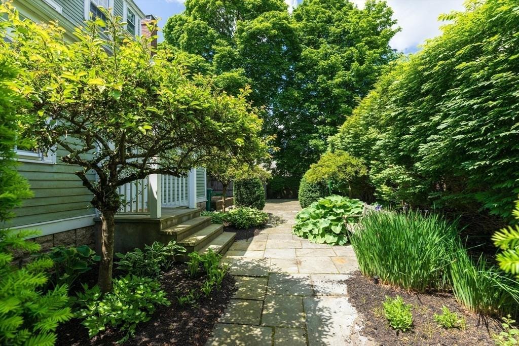 1245 Commonwealth Ave, Newton, MA 02465 - view of yard