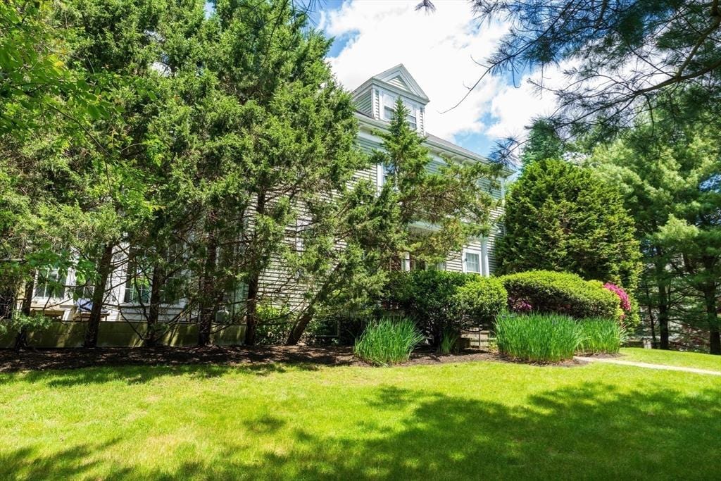 1245 Commonwealth Ave, Newton, MA 02465 - view of grassy yard