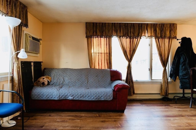 living room featuring wood-type flooring and a wall mounted AC