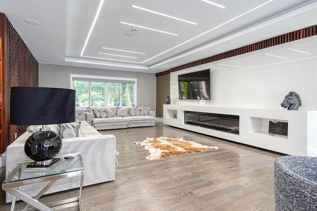 290 Massapoag Rd, Tyngsborough, MA 01879 - living room with wood finished floors, a tray ceiling, and a glass covered fireplace