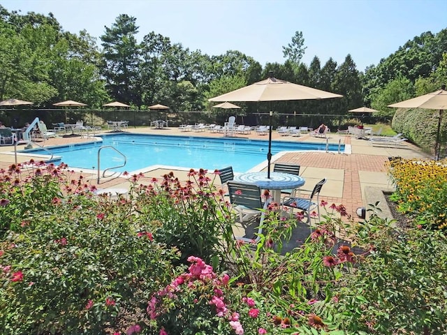 pool featuring a patio and fence