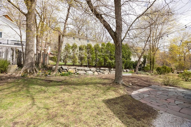 view of yard