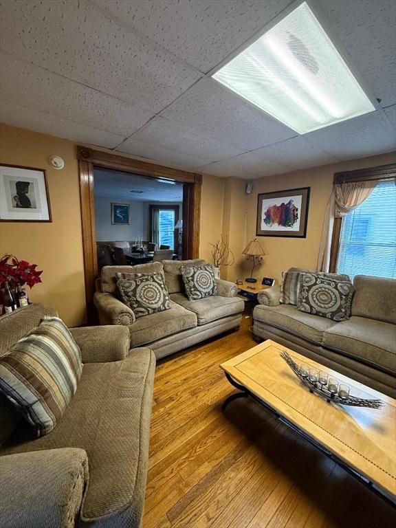 living room featuring hardwood / wood-style flooring