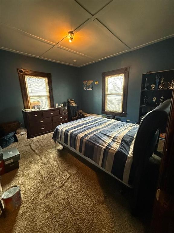 bedroom with multiple windows, coffered ceiling, and carpet flooring