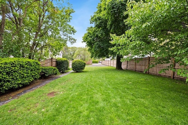 2 Olympia Ave, Woburn, MA 01801 - view of yard