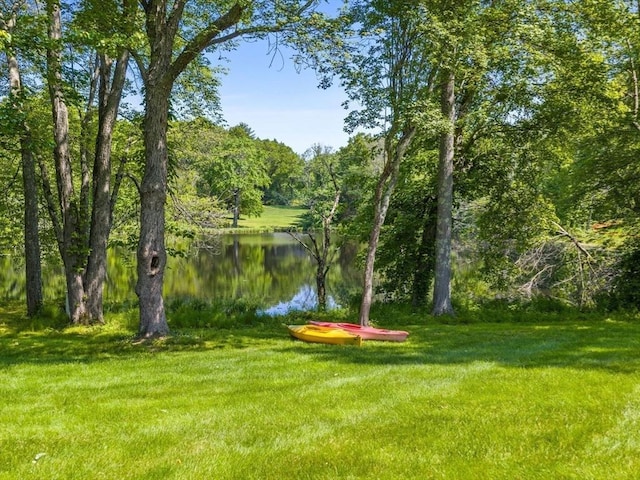 21A Farm St, Dover, MA 02030 - view of grassy yard with a water view and a forest view