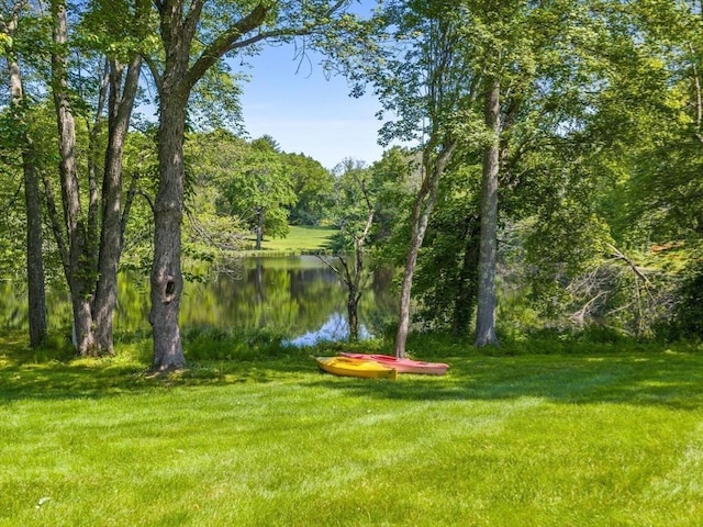 21A Farm St, Dover, MA 02030 - view of green lawn featuring a water view and a wooded view