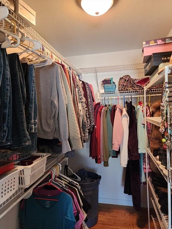 walk in closet with wood-type flooring